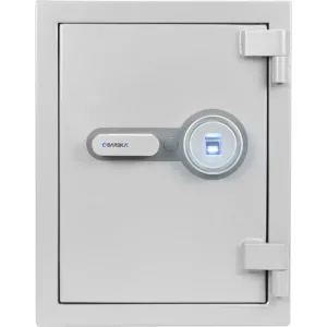 BARSKA (AX13494) 1.64 Cu. ft Biometric Fireproof Security Safe, Grey